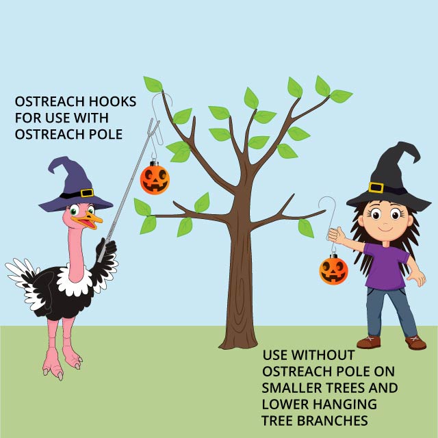 Ostreach Ornament Hanging